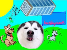 Huskyclicker 1