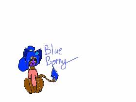 Meet Blueberry + Info 