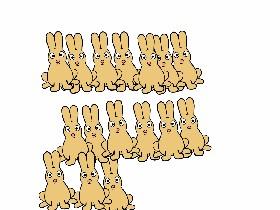 join the bunny walk