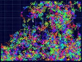 Broussaille multicolor