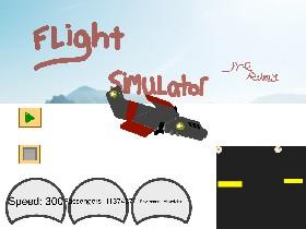 Flight Simulator 1 1