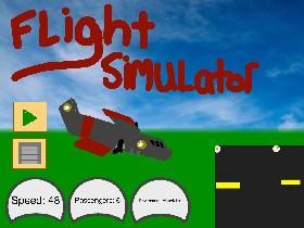 Flight Simulator 1