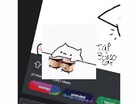 bongo cat world