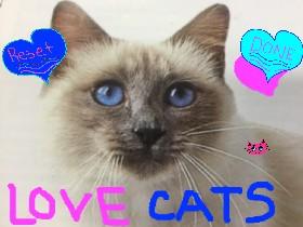 LOVE CATS!