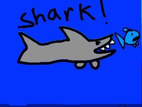 Shark! 1