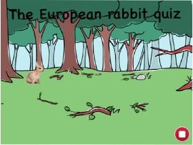 The European rabbit Quiz