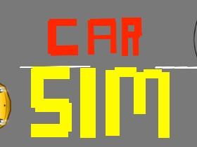 Car Sim 1