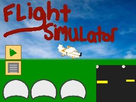 Flight Simulator  1