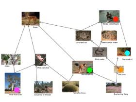 science food web 🤙💯🎃👻