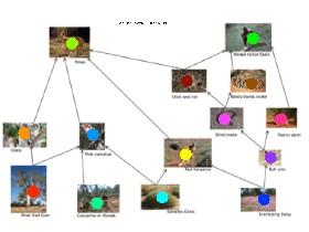 Food Webs