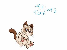 Ali a’s Cat