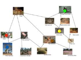 science food web jack