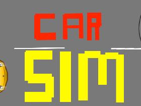 Car Sim RELEASED