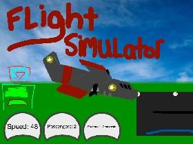 flight simulator