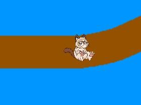 Falling cat 1