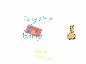 coyote vs bunny