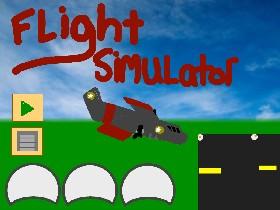 Flight Simulator 1