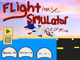 Flight Simulator 1 1