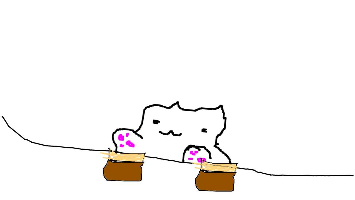 bongo cat