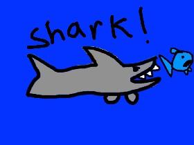 Shark!yeet 1