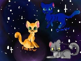 WARRIOR cat star 1