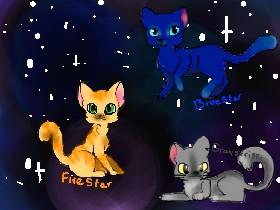 WARRIOR cat speed draws! 1