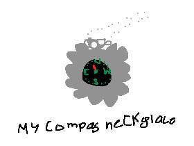 My compass neckglace