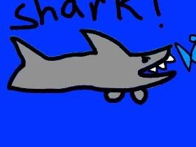 Shark! 1 1 1