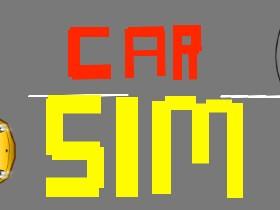 Car Sim 1