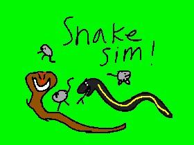 Snake Simulator