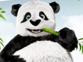 panda eating bamboo