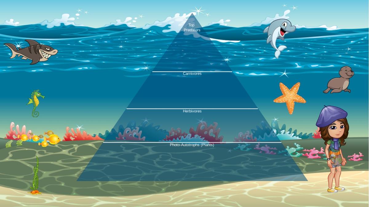 Ocean Ecological Pyramid