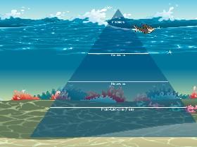 Ecological Pyramid 1