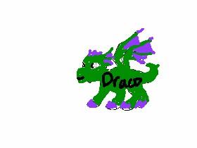 Draco the ramdom Dragon