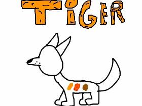 How to draw TIGER