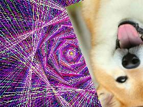 doge's downward Spiral 