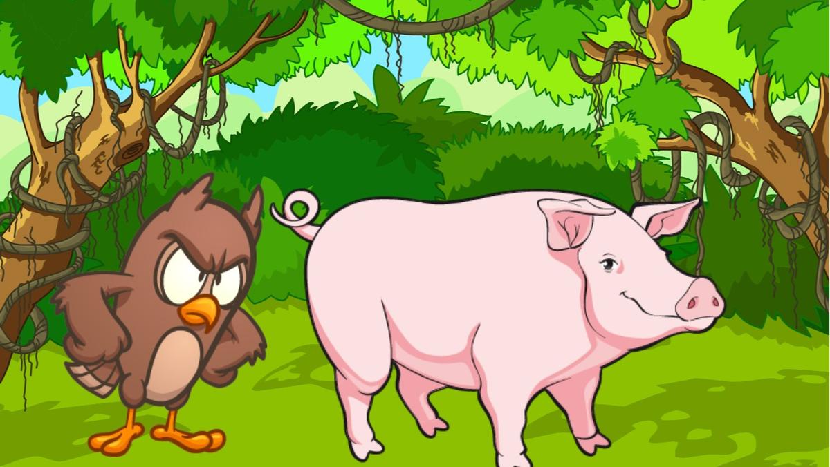 owl and pig