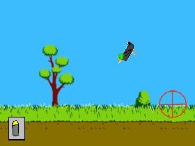 Duck Hunt