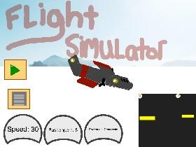 Flight Simulator 1 1