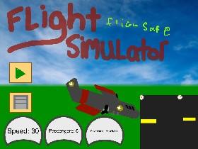 Flight Simulator 1