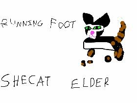 warrior cat genarator