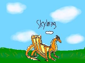 Skywing Drawing! 