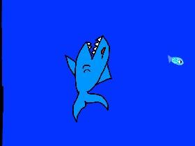 shark