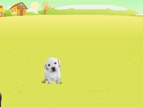 A Pet Game 2