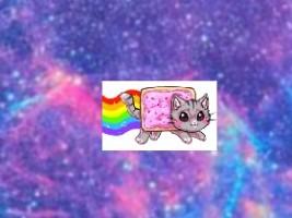 Galaxy kitty