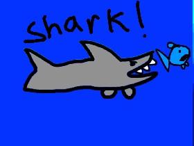 Shark! 1 1