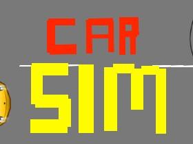 Car Sim RELEASED 1