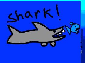 Shark! 1