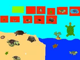 Turtle Clicker! 1 1