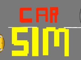 Car Simulator